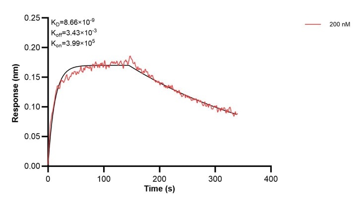 Affinity and Kinetic Characterization of 68410-3-PBS Affinity and Kinetic Characterization of 68410-3-PBS