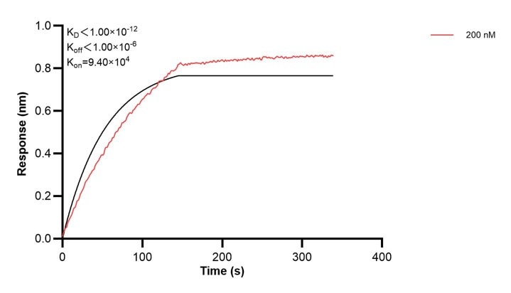 Affinity and Kinetic Characterization of 68431-1-Ig Affinity and Kinetic Characterization of 68431-1-Ig