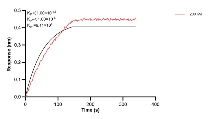 Affinity and Kinetic Characterization of 68431-2-PBS Affinity and Kinetic Characterization of 68431-2-PBS