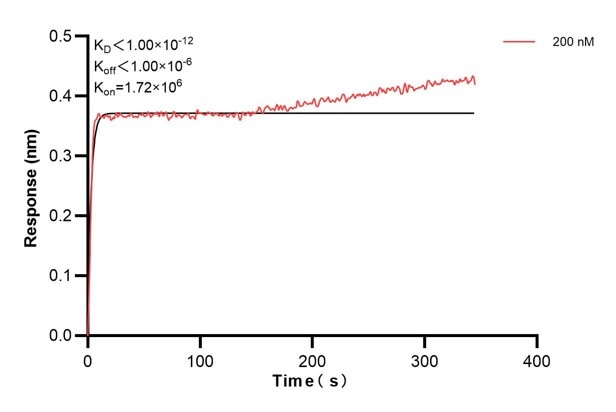 Biolayer interferometry (BLl) kinetic assays of 68450-1-Ig against Human OTUD6B were performed. The affinity constant is below 1 pM. Affinity and Kinetic Characterization of 68450-1-Ig