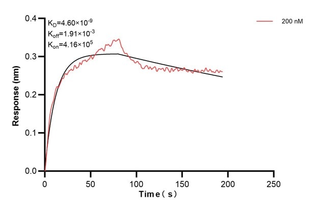 Biolayer interferometry (BLl) kinetic assays of 68450-2-Ig against Human OTUD6B were performed. The affinity constant is 4.60 nM. Affinity and Kinetic Characterization of 68450-2-PBS