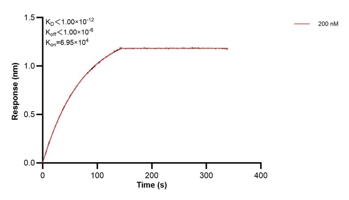 Affinity and Kinetic Characterization of 68451-3-PBS Affinity and Kinetic Characterization of 68451-3-PBS