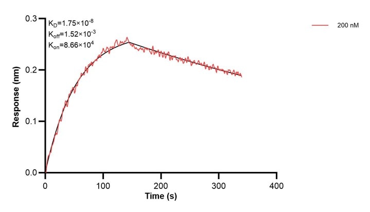 Affinity and Kinetic Characterization of 68463-3-PBS
