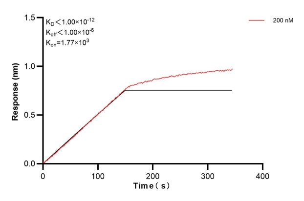 Affinity and Kinetic Characterization of 68467-2-PBS