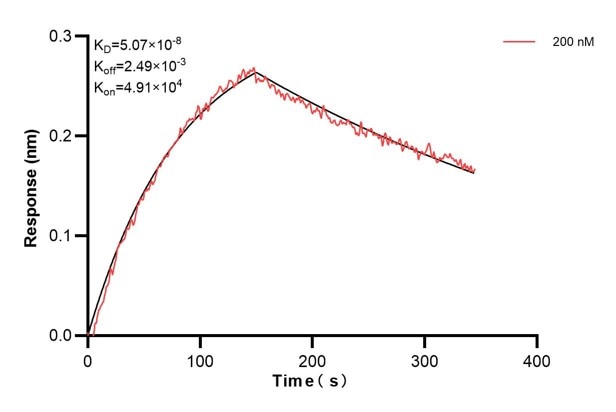 Affinity and Kinetic Characterization of 68475-3-PBS Affinity and Kinetic Characterization of 68475-3-PBS