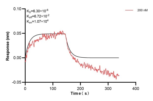 Affinity and Kinetic Characterization of 68476-3-PBS Affinity and Kinetic Characterization of 68476-3-PBS
