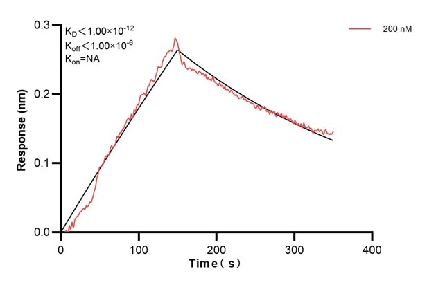 Affinity and Kinetic Characterization of 68515-2-PBS