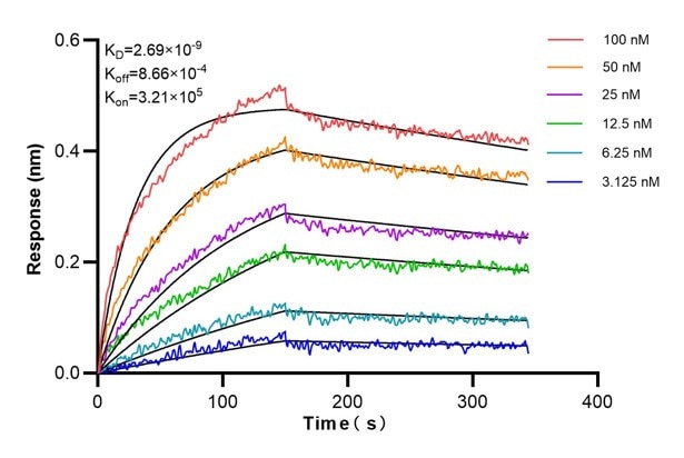 Affinity and Kinetic Characterization of 68532-2-Ig