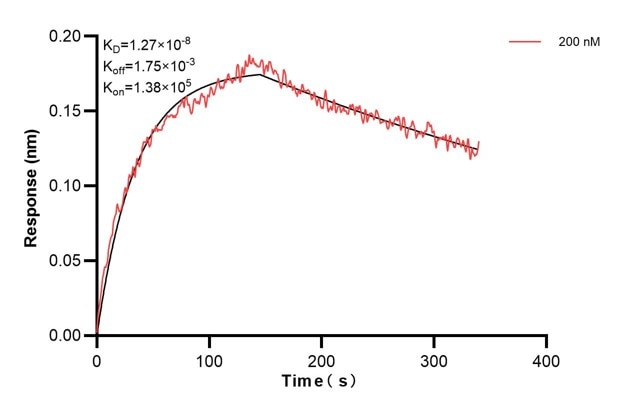 Affinity and Kinetic Characterization of 68545-5-PBS Affinity and Kinetic Characterization of 68545-5-PBS