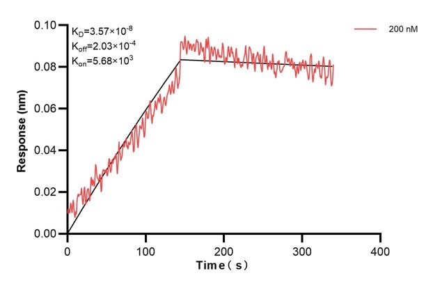 Affinity and Kinetic Characterization of 68556-3-PBS