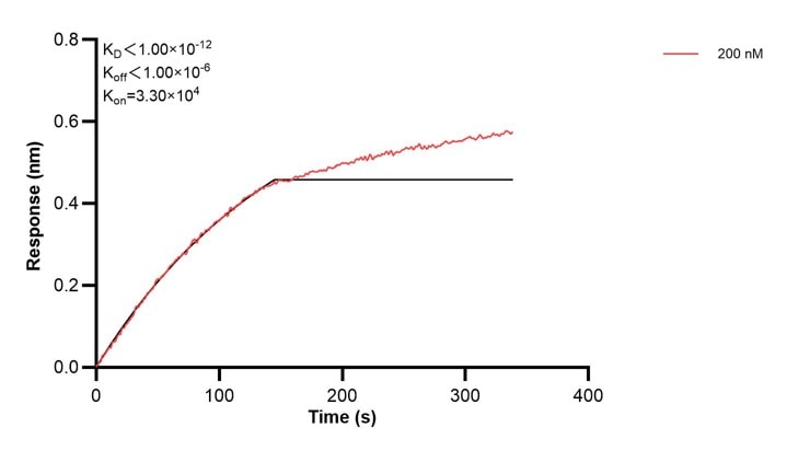 Affinity and Kinetic Characterization of 68593-4-PBS Affinity and Kinetic Characterization of 68593-4-PBS