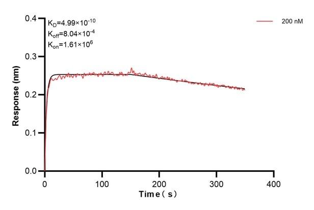 Affinity and Kinetic Characterization of 68661-1-PBS