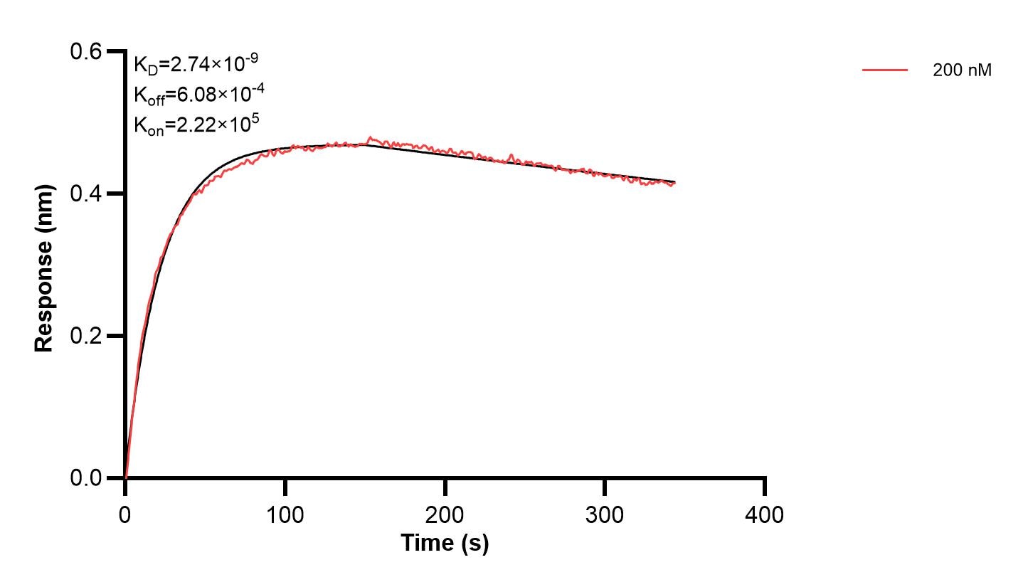 Affinity and Kinetic Characterization of 68674-1-PBS Affinity and Kinetic Characterization of 68674-1-PBS