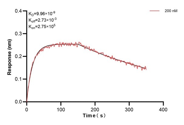 Affinity and Kinetic Characterization of 68683-2-PBS