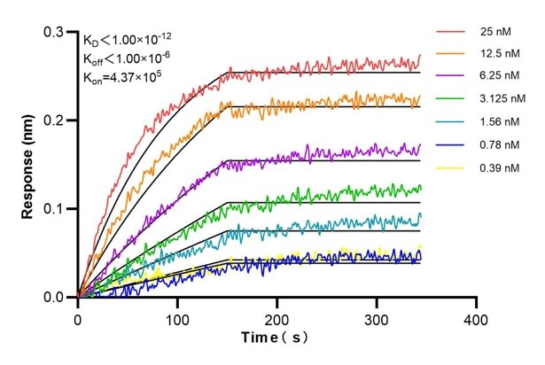 Affinity and Kinetic Characterization of 68703-1-PBS