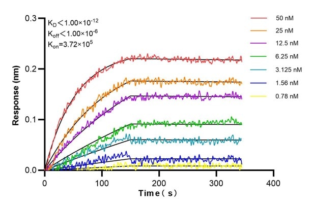 Affinity and Kinetic Characterization of 68703-2-PBS