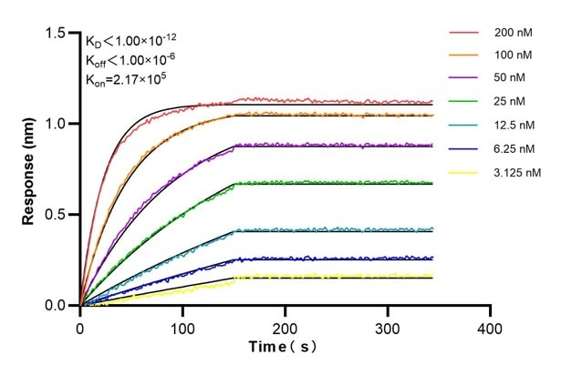 Affinity and Kinetic Characterization of 68705-1-PBS