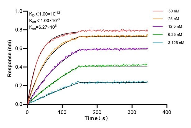 Affinity and Kinetic Characterization of 68706-1-PBS