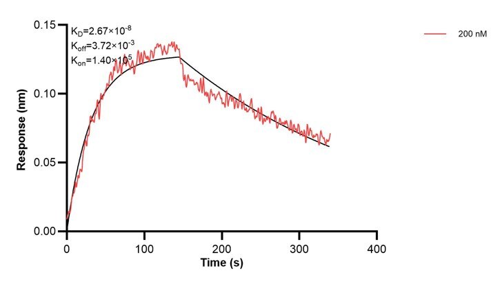 Affinity and Kinetic Characterization of 68722-3-PBS Affinity and Kinetic Characterization of 68722-3-PBS