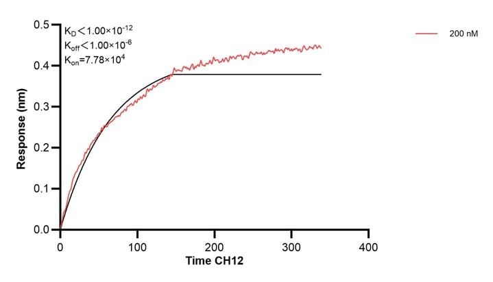 Affinity and Kinetic Characterization of 68722-5-PBS