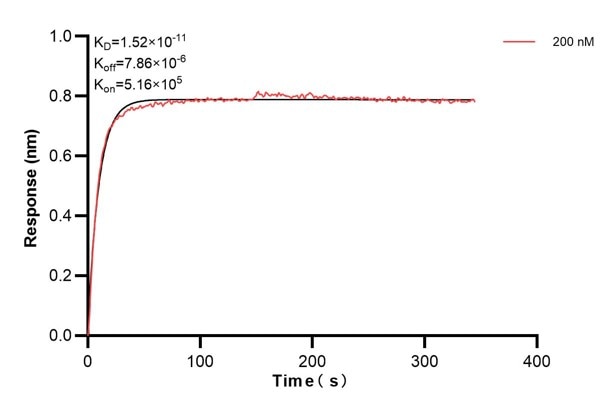 Affinity and Kinetic Characterization of 68730-1-PBS