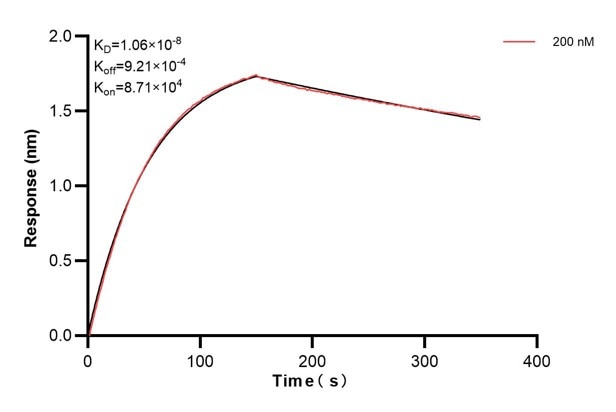 Affinity and Kinetic Characterization of 68738-1-PBS