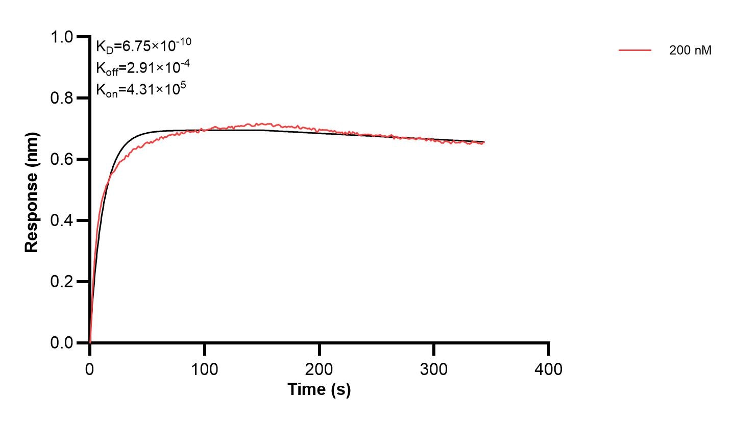 Affinity and Kinetic Characterization of 68748-2-PBS