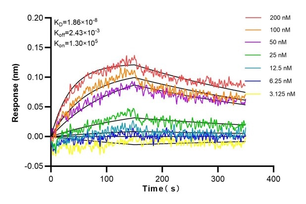 Affinity and Kinetic Characterization of 68750-2-Ig