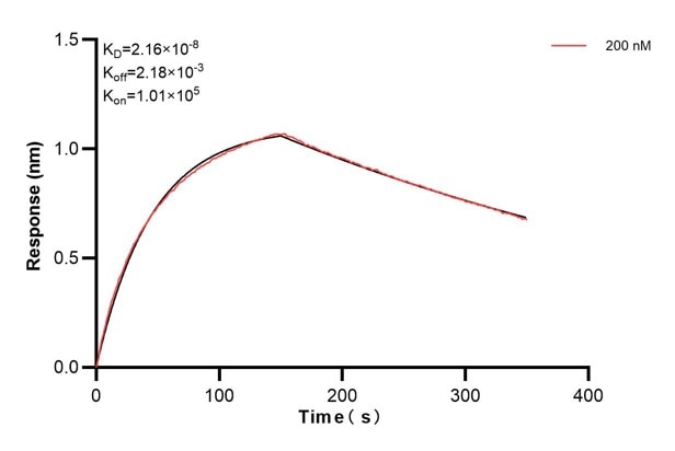 Affinity and Kinetic Characterization of 68759-2-PBS Affinity and Kinetic Characterization of 68759-2-PBS