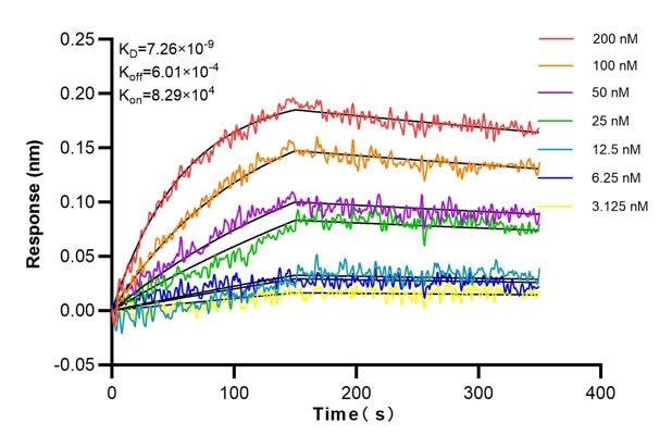 Affinity and Kinetic Characterization of 68767-2-Ig
