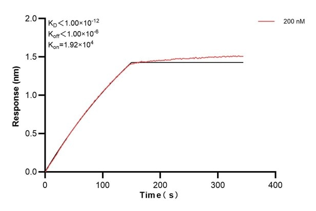 Affinity and Kinetic Characterization of 68780-2-PBS