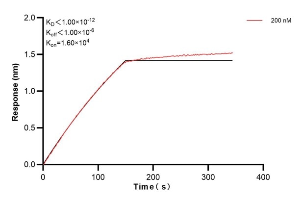Affinity and Kinetic Characterization of 68780-3-PBS