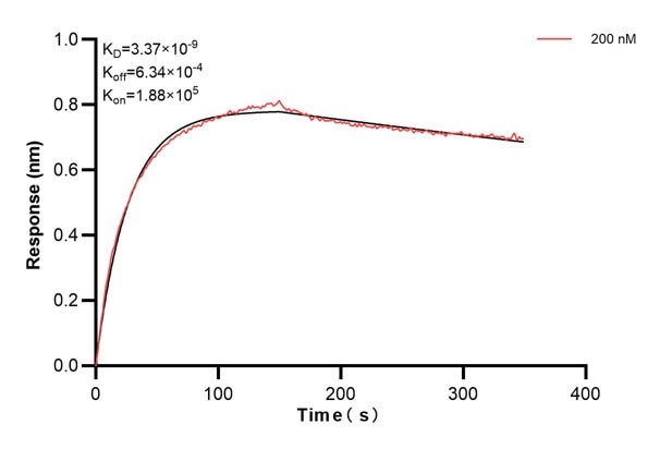 Affinity and Kinetic Characterization of 68801-1-PBS