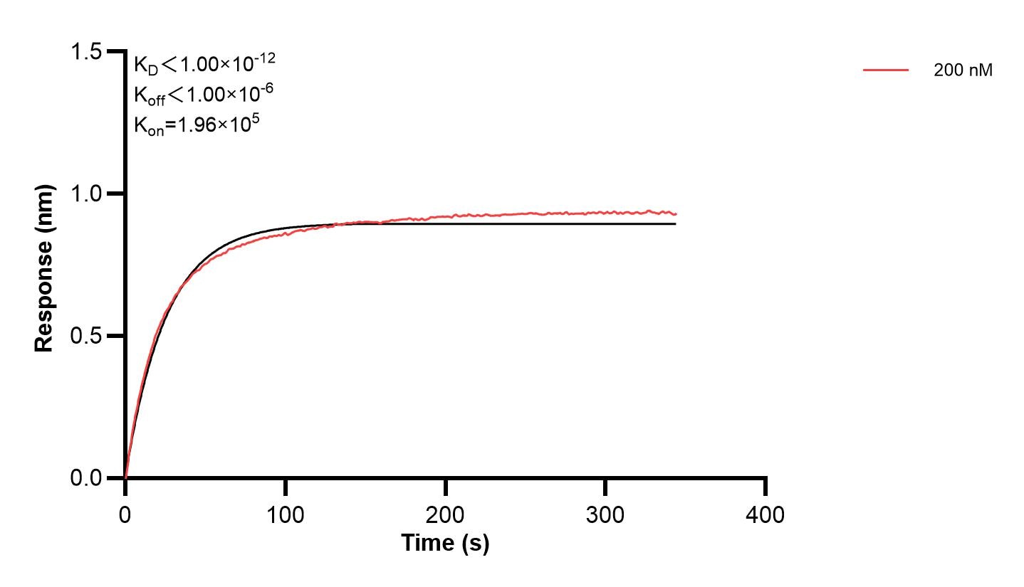Affinity and Kinetic Characterization of 68805-1-PBS Affinity and Kinetic Characterization of 68805-1-PBS