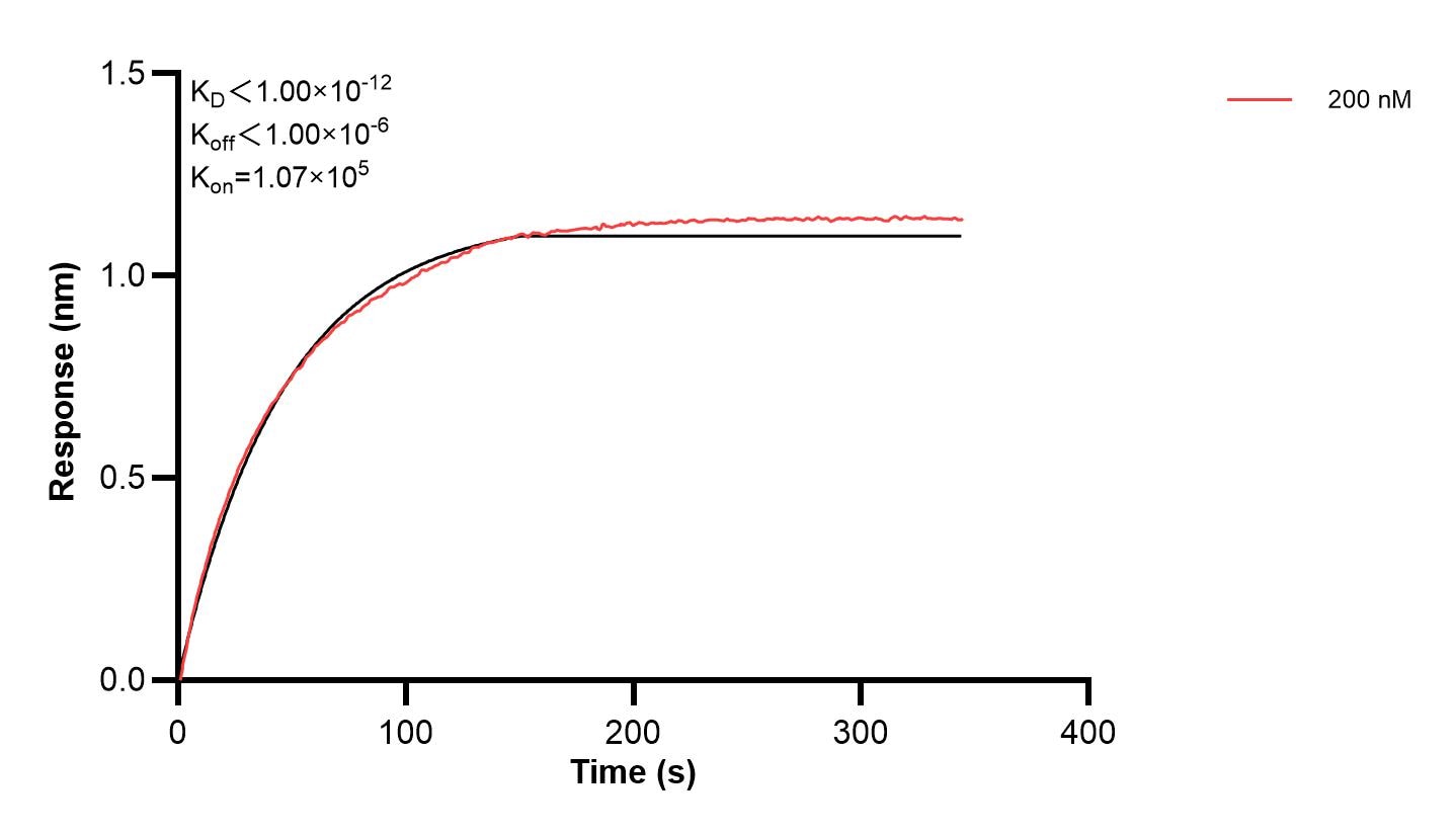 Affinity and Kinetic Characterization of 68805-2-PBS