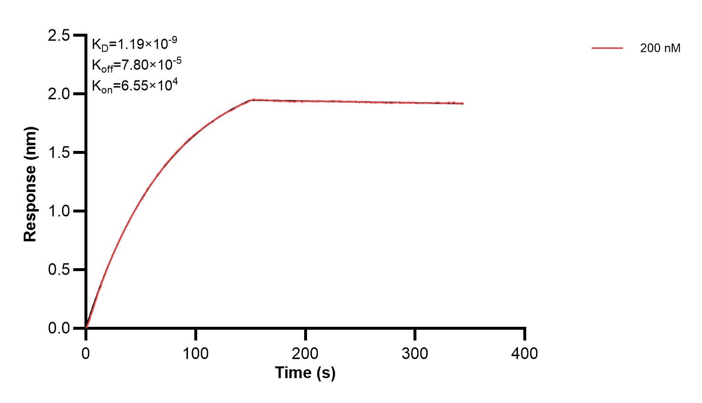 Affinity and Kinetic Characterization of 68838-3-PBS