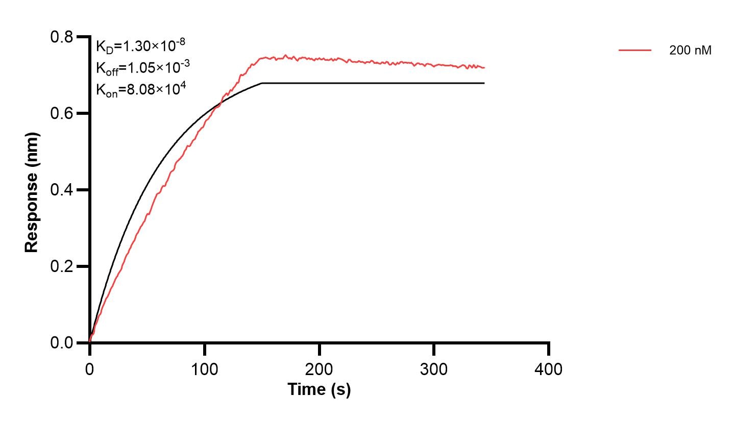 Affinity and Kinetic Characterization of 68848-2-PBS Affinity and Kinetic Characterization of 68848-2-PBS