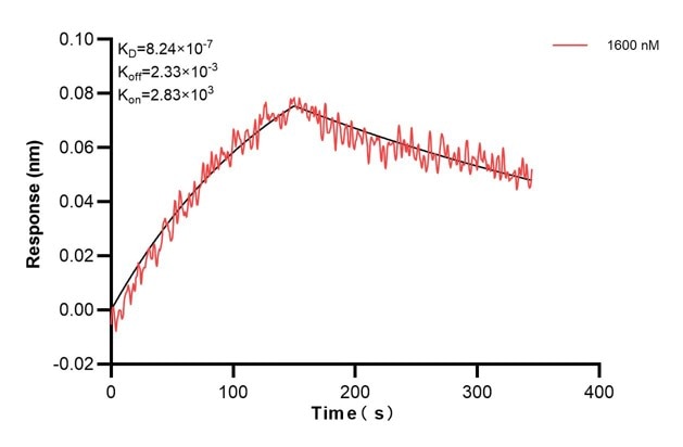 Biolayer interferometry (BLl) kinetic assay of 68859-1-Ig against Human KRT7 was performed. The affinity constant is 824 nM... Affinity and Kinetic Characterization of 68859-1-PBS