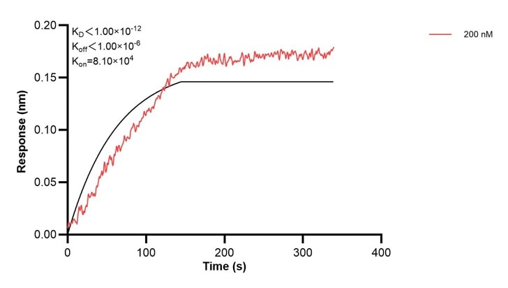 Affinity and Kinetic Characterization of 68862-1-PBS