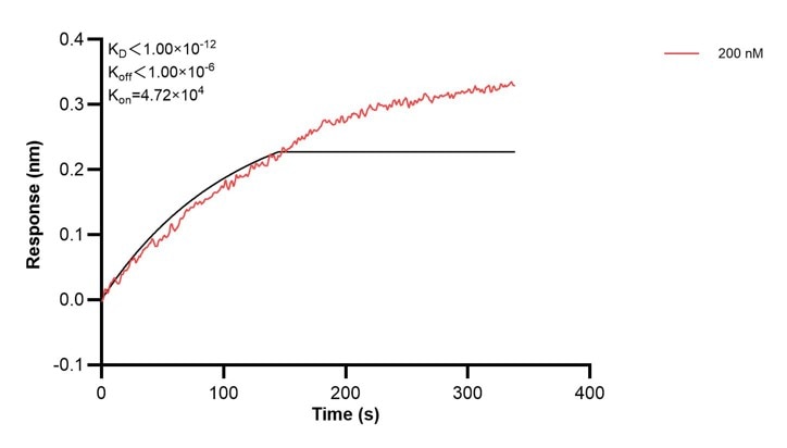 Affinity and Kinetic Characterization of 68862-2-PBS