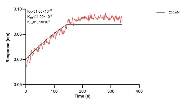Affinity and Kinetic Characterization of 68862-4-PBS