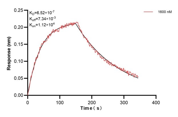 Affinity and Kinetic Characterization of 68866-4-PBS