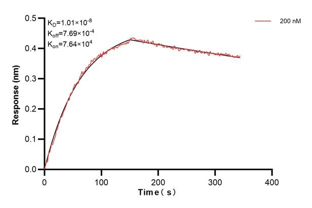 Affinity and Kinetic Characterization of 68895-2-PBS