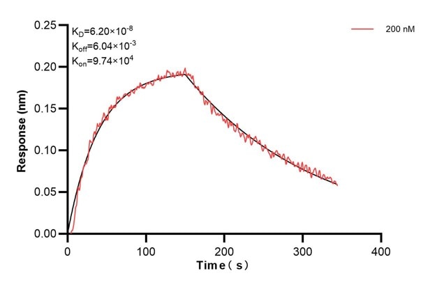 Affinity and Kinetic Characterization of 68895-3-PBS
