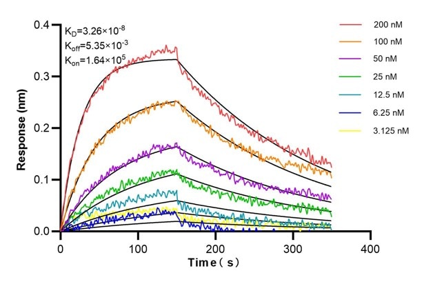 Affinity and Kinetic Characterization of 68897-3-PBS