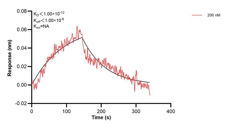 Affinity and Kinetic Characterization of 68898-1-PBS