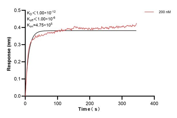 Biolayer interferometry (BLl) kinetic assays of 68910-1-Ig against Human CCDC46 were performed. The affinity constant is below 1 pM. against Human NME1 were performed. The affinity constant is 39.5 nM. Affinity and Kinetic Characterization of 68910-1-PBS