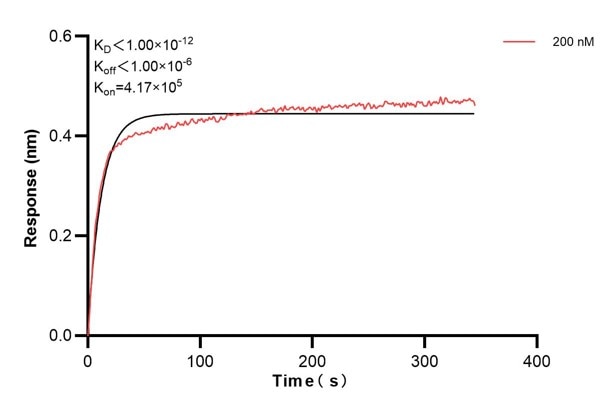 Biolayer interferometry (BLl) kinetic assays of 68910-3-Ig against Human CCDC46 were performed. The affinity constant is below 1 pM. against Human NME1 were performed. The affinity constant is 39.5 nM. Affinity and Kinetic Characterization of 68910-3-PBS