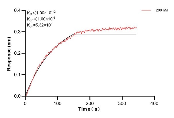 Affinity and Kinetic Characterization of 68917-1-PBS