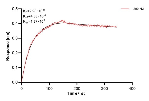Affinity and Kinetic Characterization of 68917-2-PBS